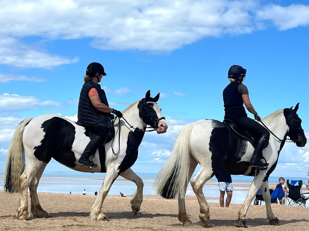Old Hunstanton Beach景点图片
