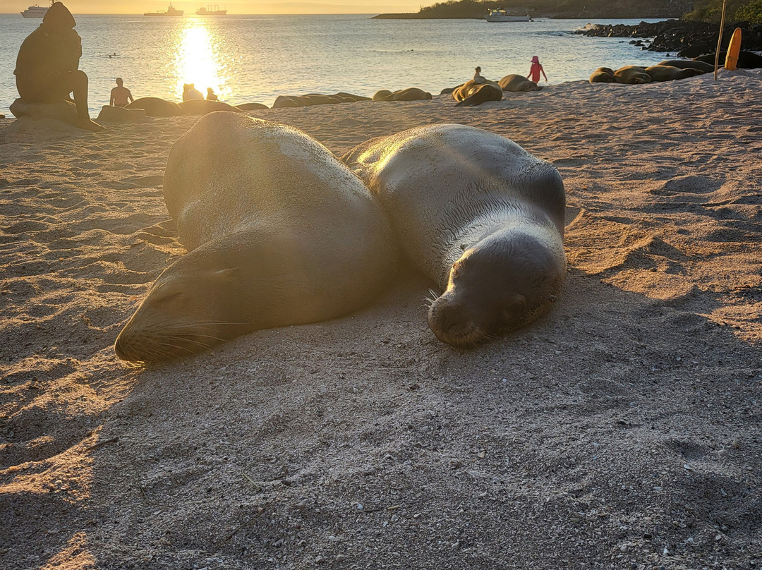 Galapagos Best Option-阿约拉港必去景点
