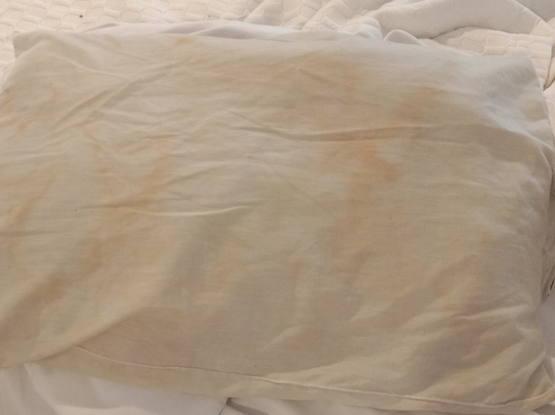 Alexander Motel主图