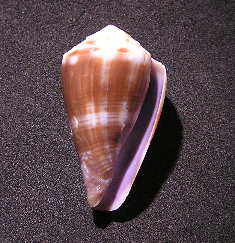 Port Louis-路易士港必去景点