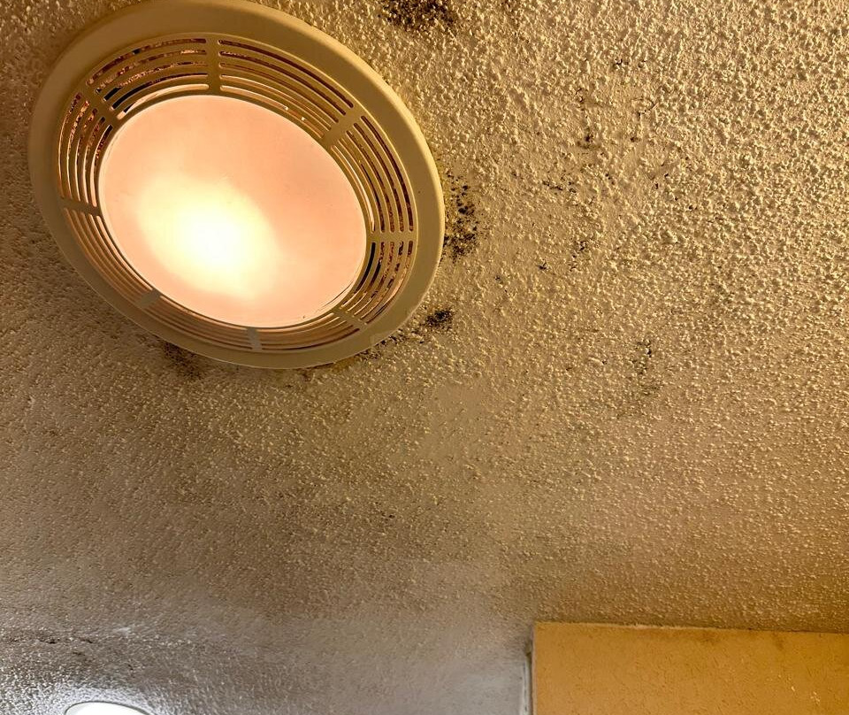 Red Roof PLUS+ & Suites Guilford主图