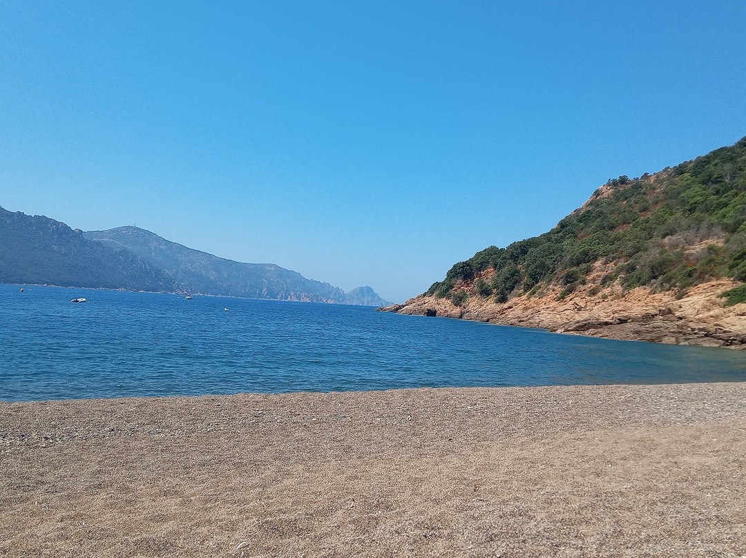 Plage de Bussaglia-Serriera必去景点