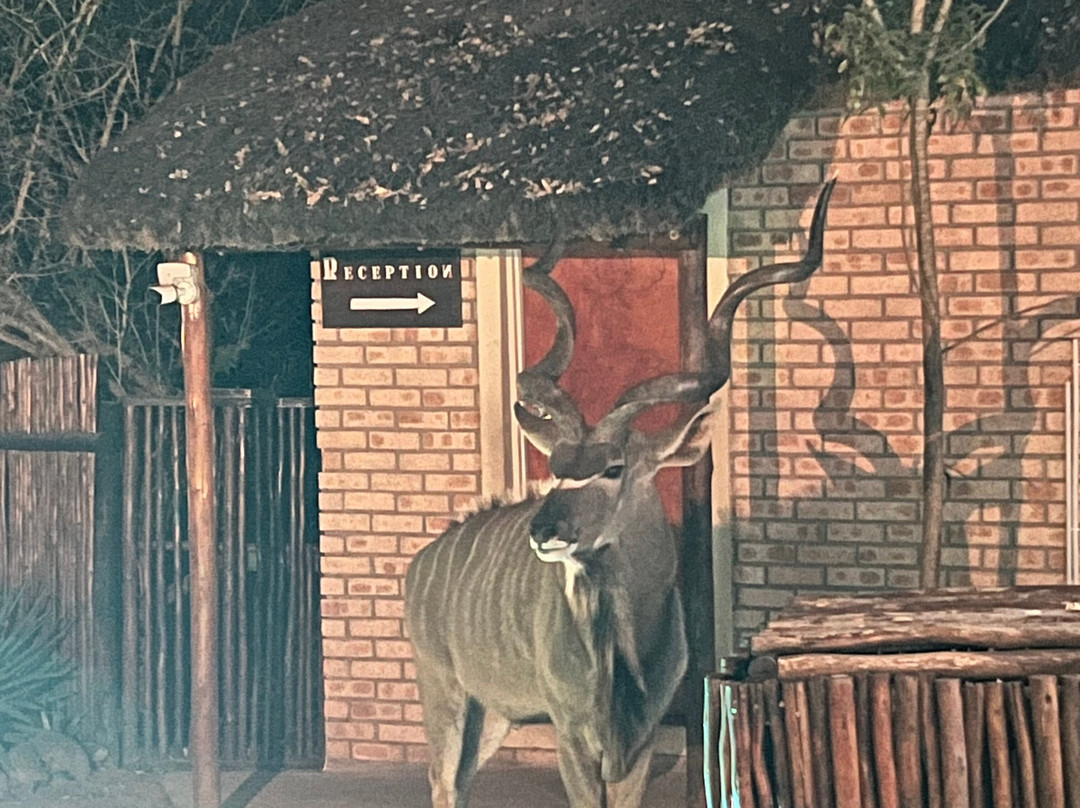 Pan African Lodge & Safari主图