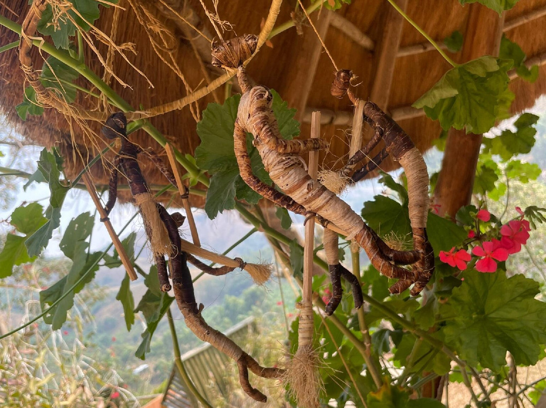 Nyore Hillside Retreat主图