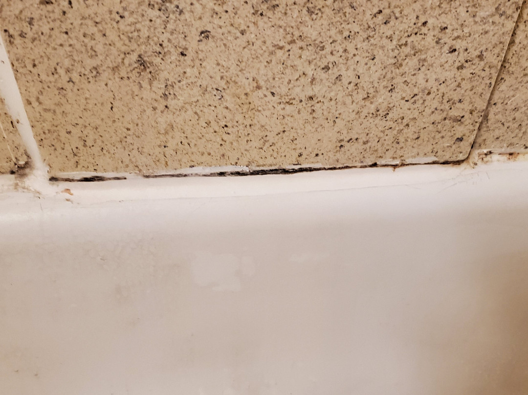 Extended Stay America Suites Newark Woodbridge主图