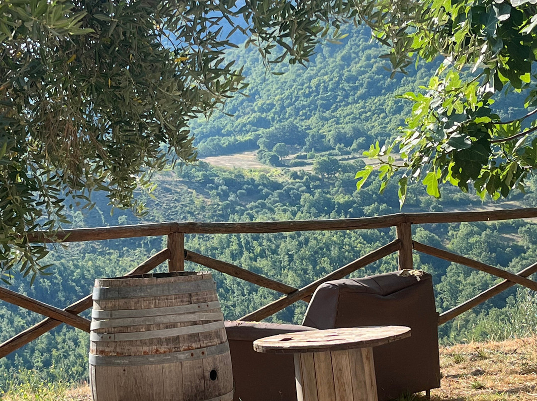 Azienda Agricola Ausono
