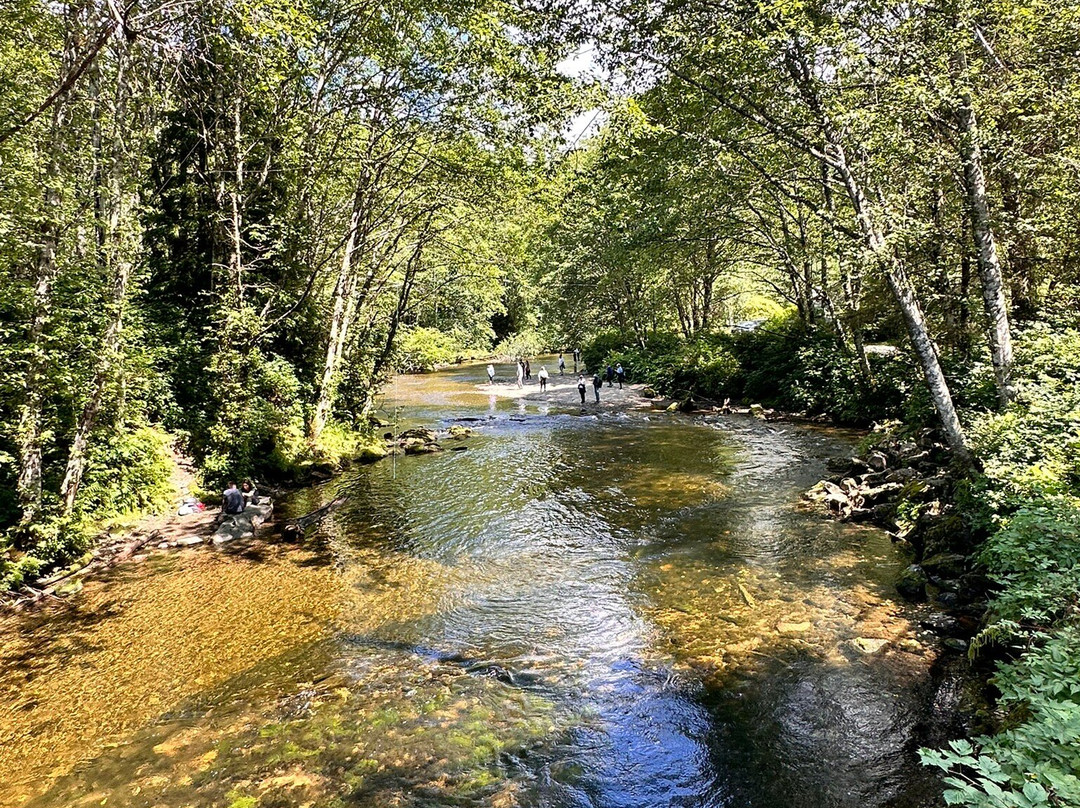 Ketchikan creek and falls-凯奇坎必去景点