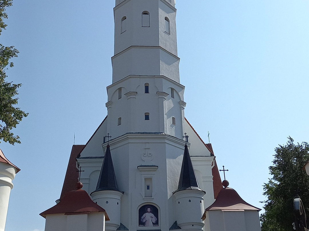 Siauliai Saint Disciple Peter and Paul Cathedral-希奥利艾必去景点