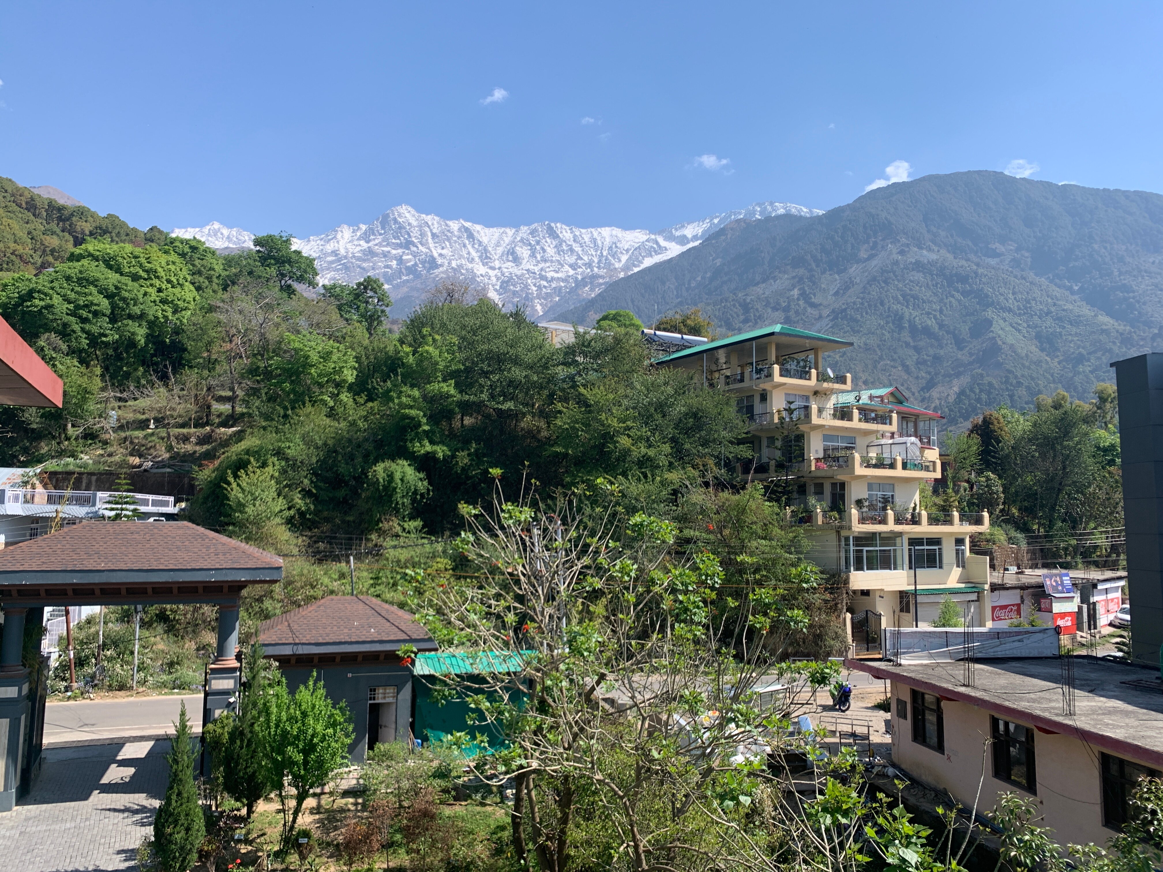 Atman, Dharamshala-酒店景观