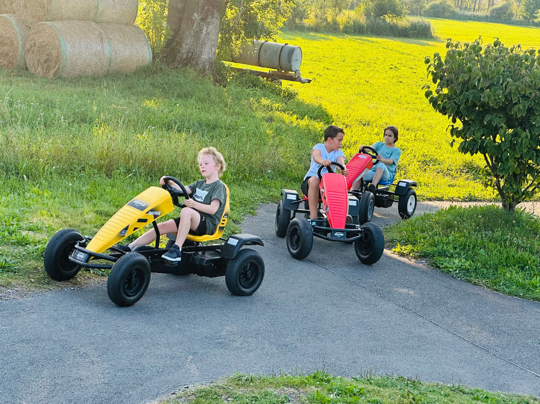 Hotel & Hotel Apartments Samerhof主图