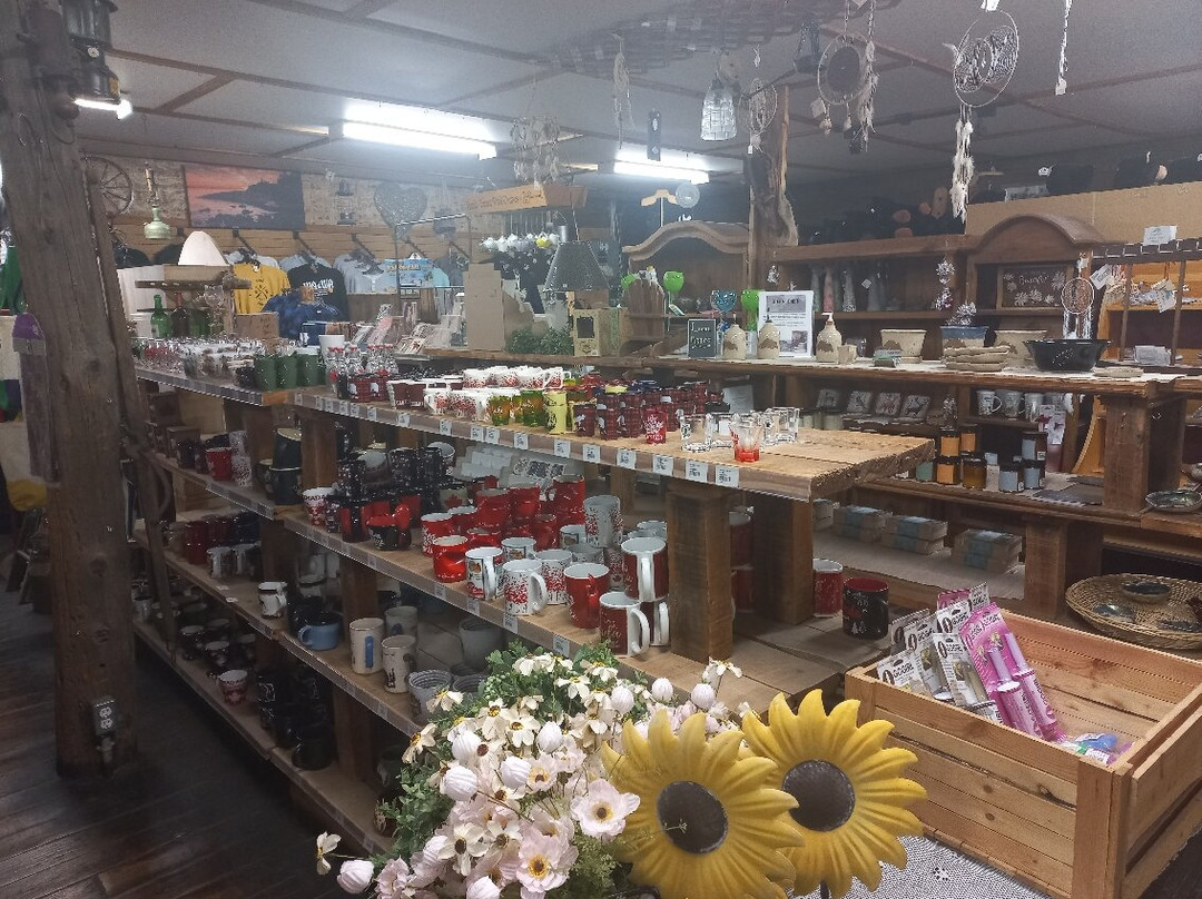 Young's General Store-Wawa必去景点