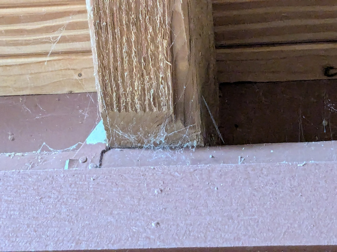 Cranes Mill Park-峡谷湖必去景点