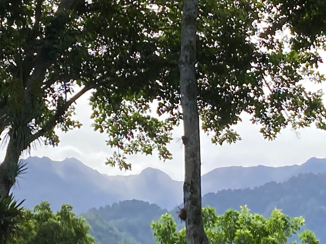 Hotel de Montana El Pelicano主图