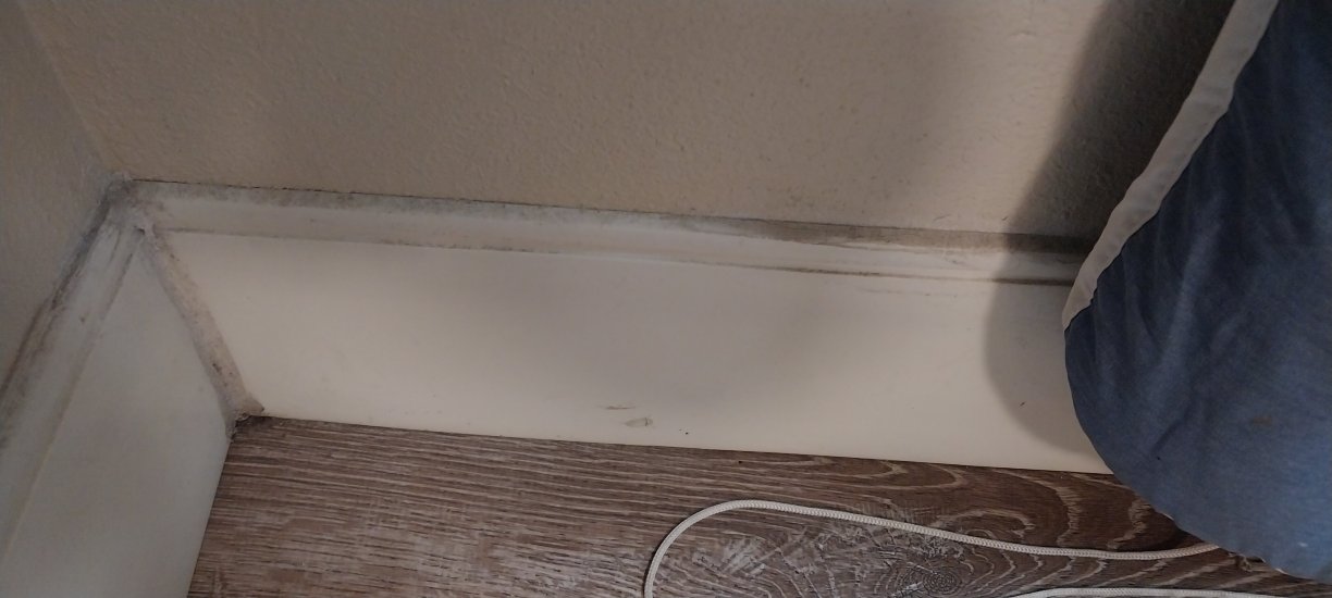 SureStay Plus By Best Western Jackson-客卧