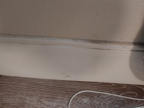 SureStay Plus By Best Western Jackson主图