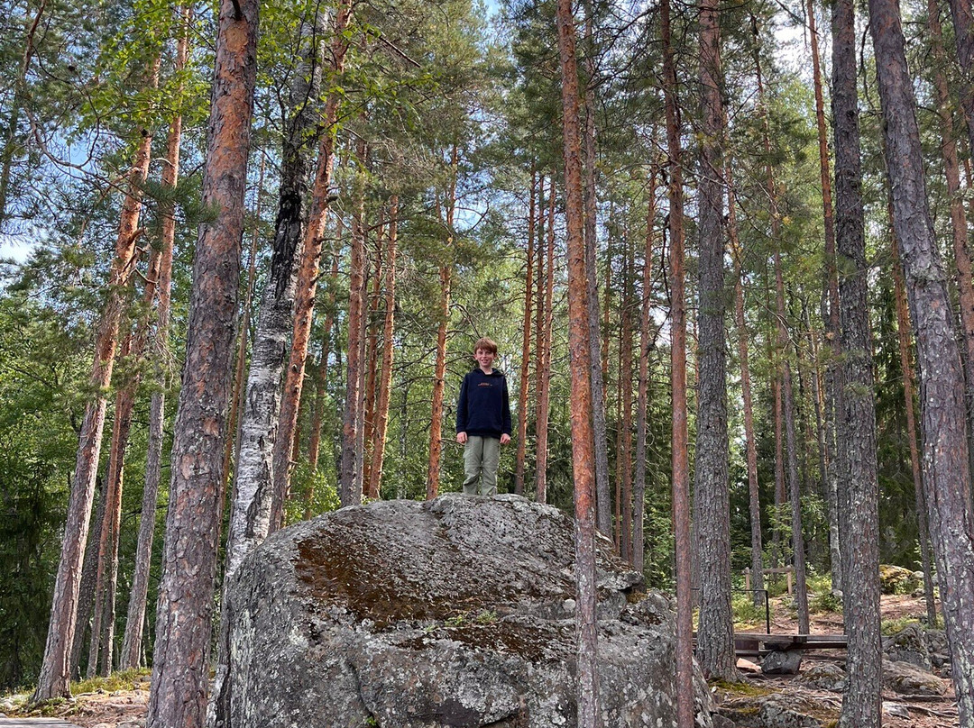 Linnansaari National Park景点图片