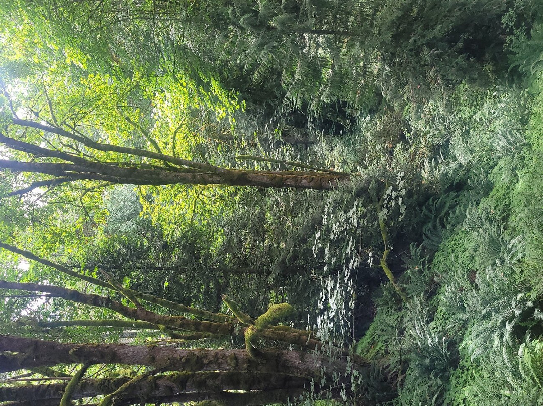 Sunshine Coast Botanical Garden