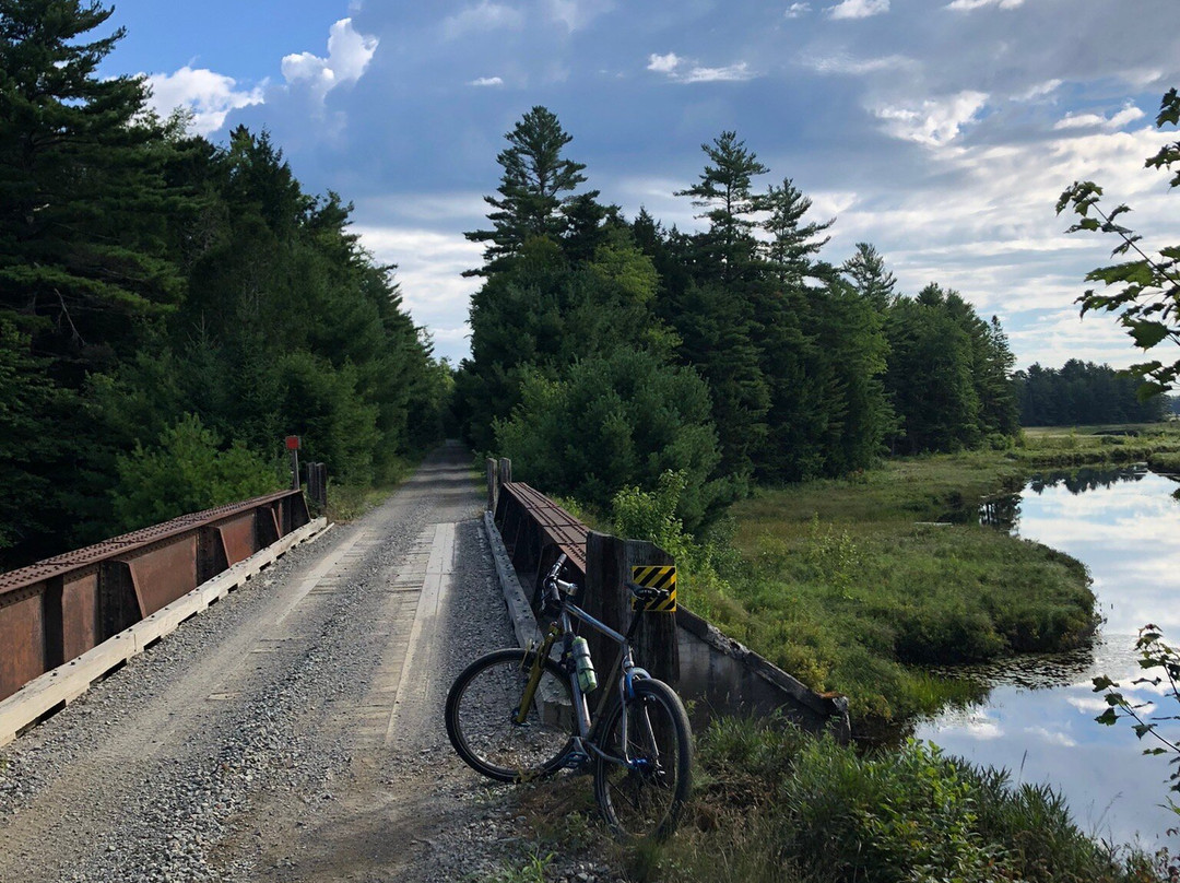 The Bluebird Motel主图