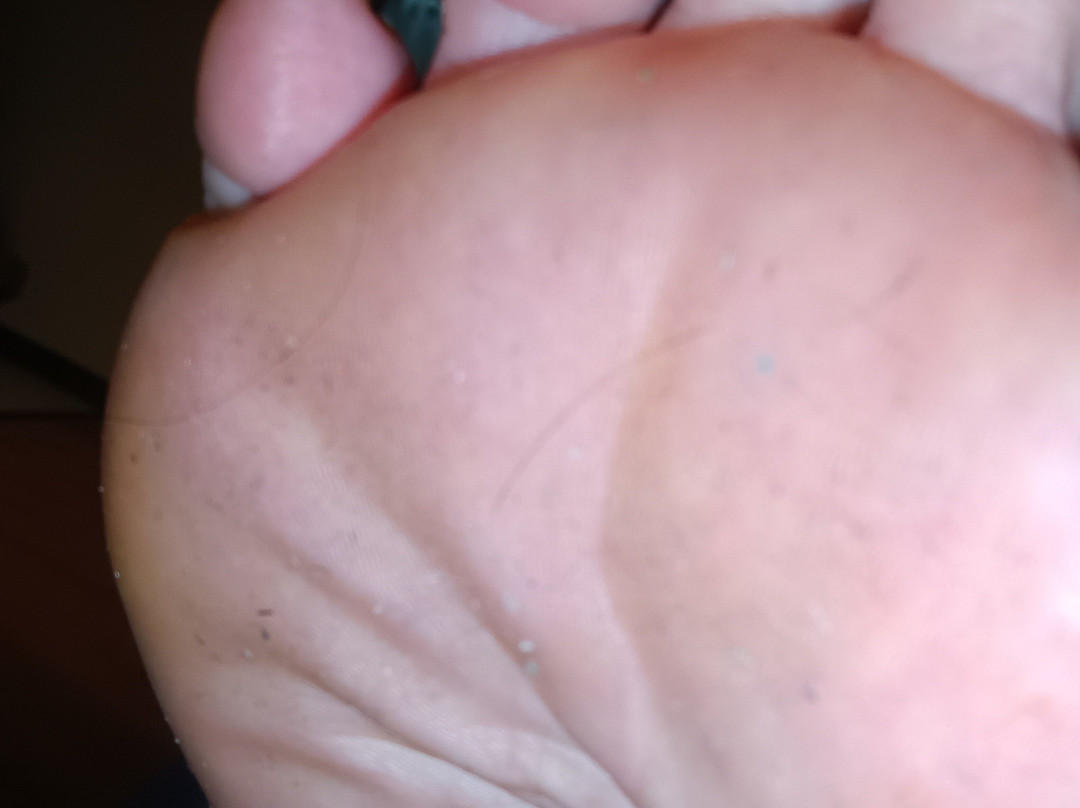 Red Roof Inn Detroit - Farmington Hills主图