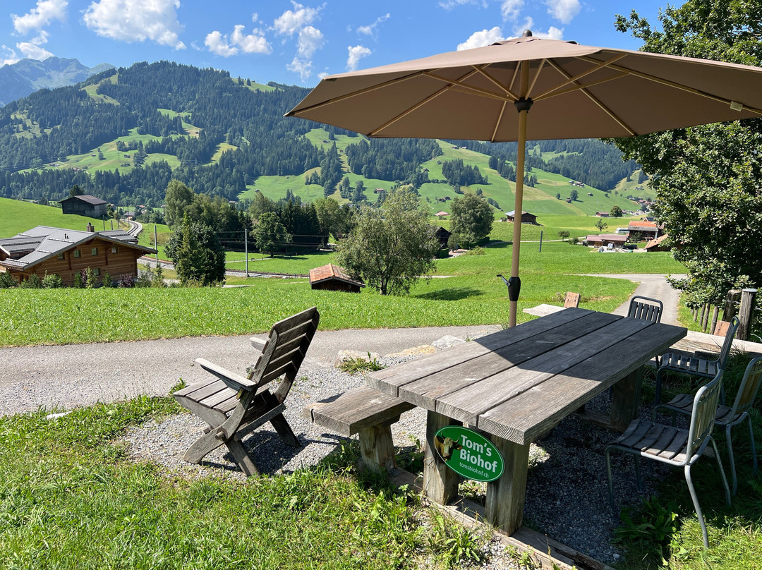 Panorama Trail Gstaad-格斯塔德必去景点
