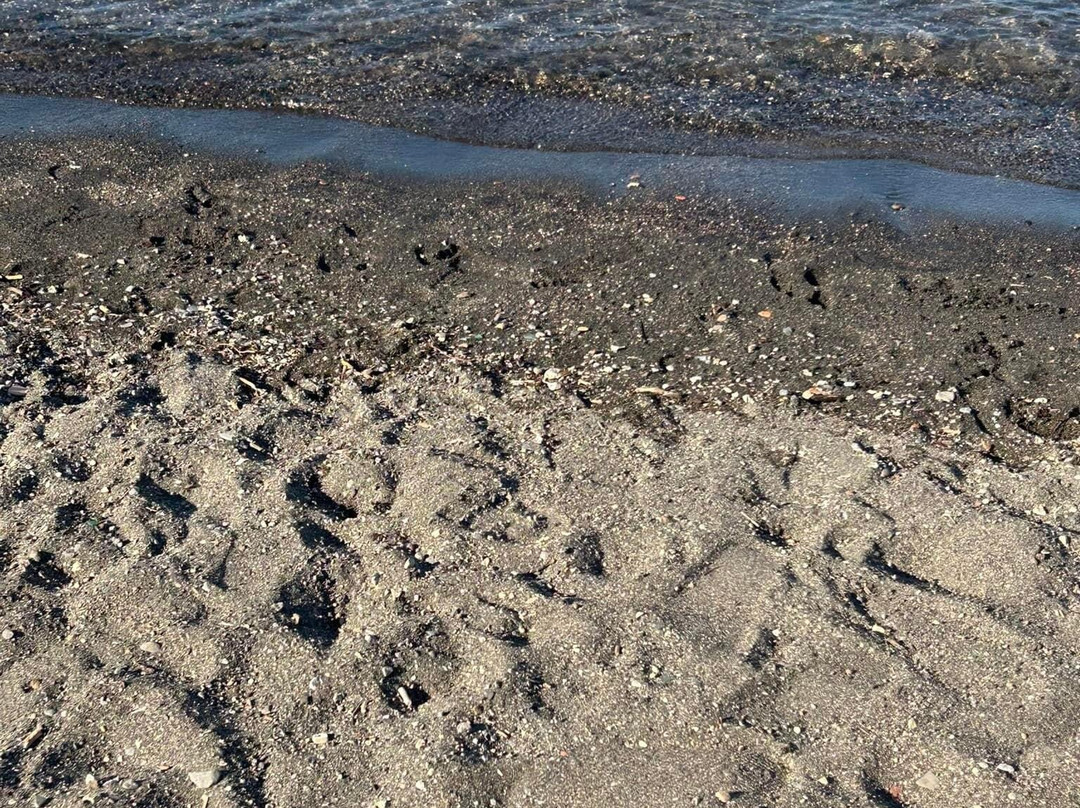 Lago di Bracciano-Province of Rome必去景点
