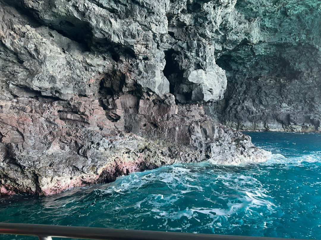 Captain Js Kauai Offshore Adventures-埃里埃利必去景点