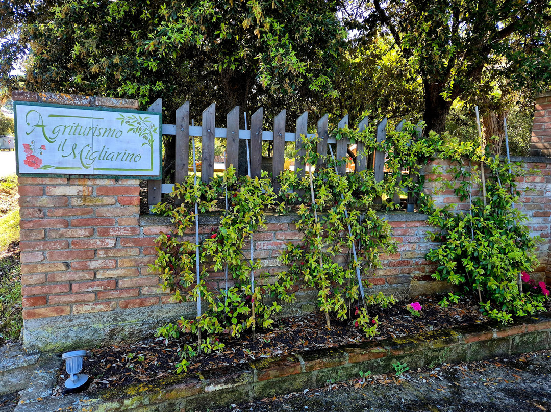 米利亚里诺农场旅馆主图