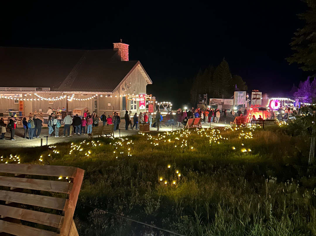 L'oiseau Mécanique-Petite-Riviere-Saint-Francois必去景点