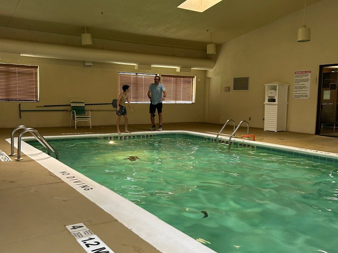 Best Western Maple City Inn主图