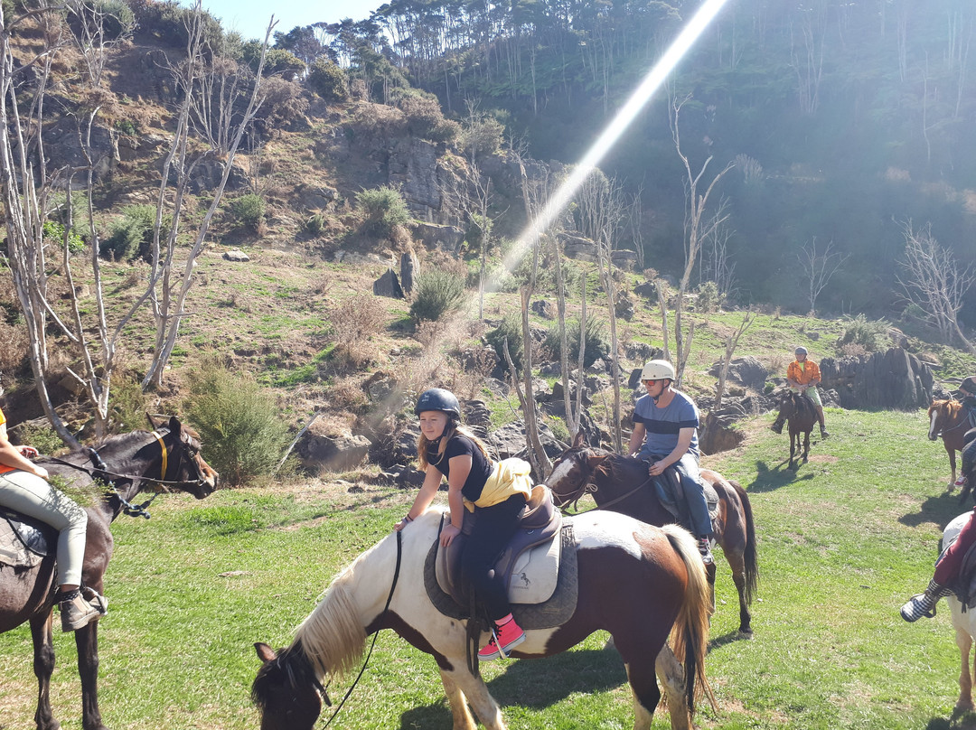 Karamu Trail Track-汉密尔顿必去景点