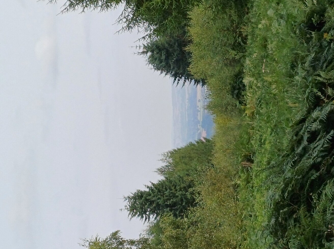 Mortimer Forest-拉德洛必去景点