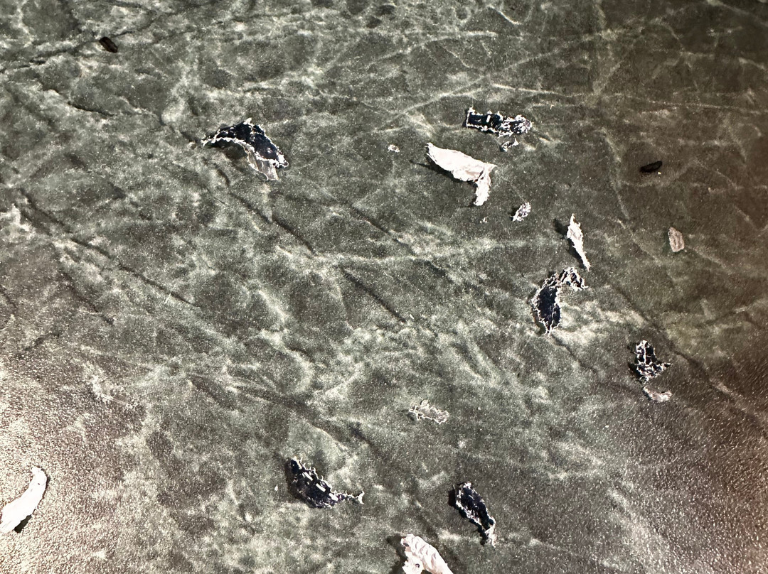 Beaver Creek Properties & Realty主图