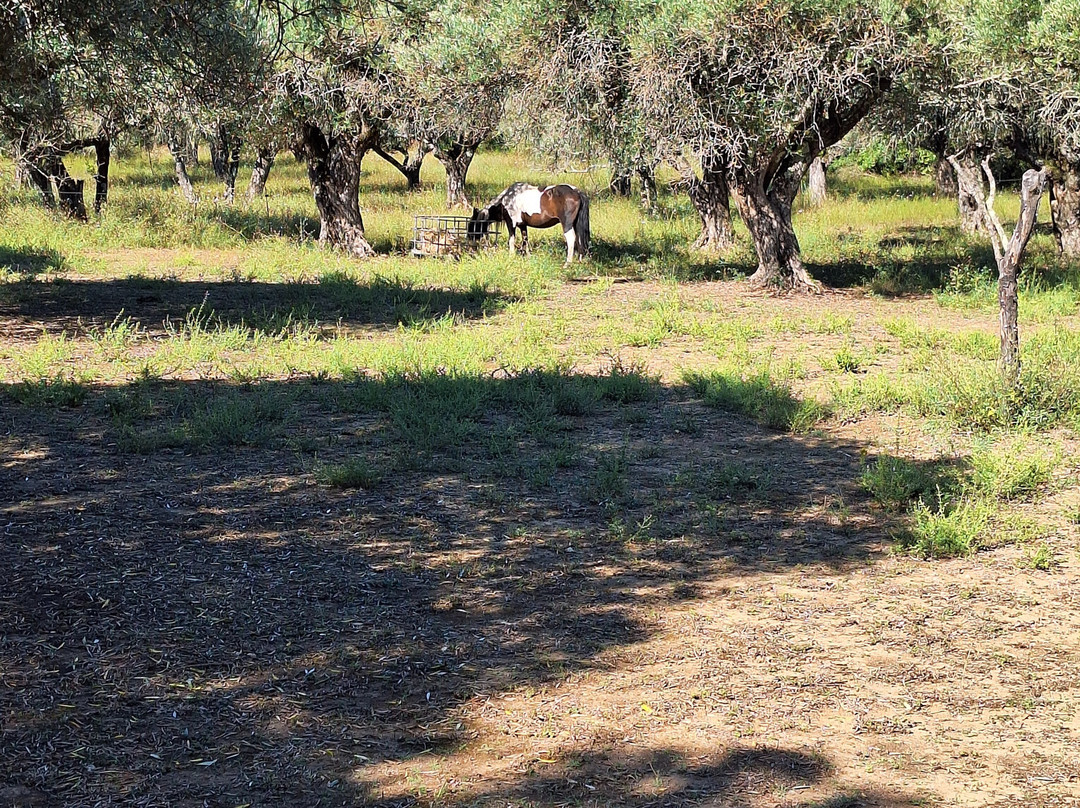 Hotel Le Gardon主图