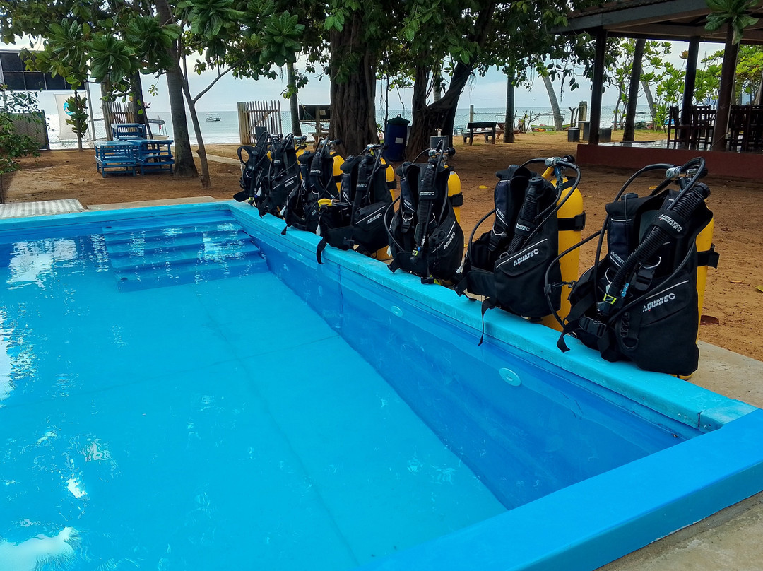 Scuba Safaris Trincomalee-Trincomalee必去景点
