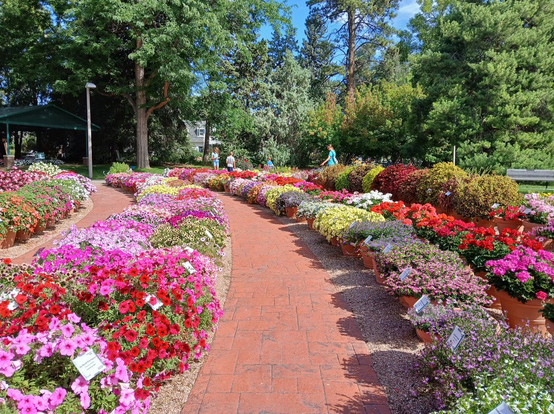 Annual Flower Trial Garden-科林斯堡必去景点