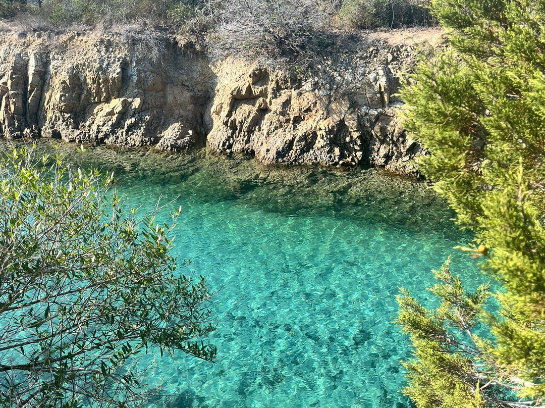Spiaggia Cala Ginepro e Sa Curcurica-奥罗塞必去景点