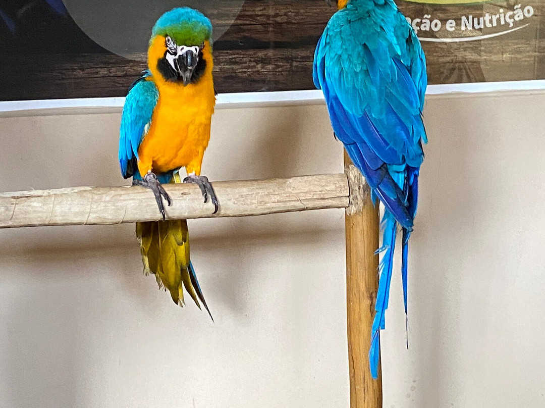 Ecopark Sol e Mar-Maragogi必去景点