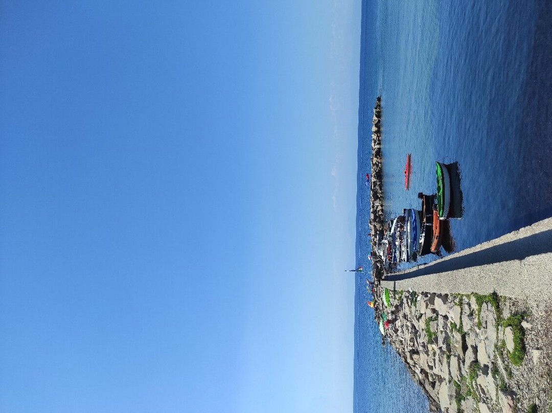 Punta Licosa景点图片