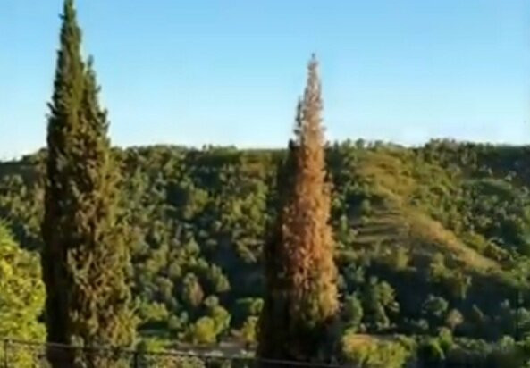 Centro storico di Castrovillari景点图片