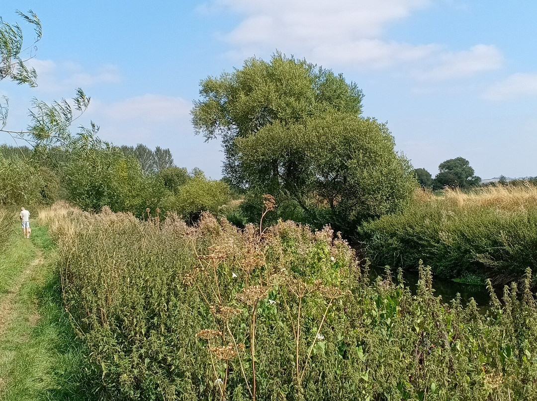 Idle Valley Nature Reserve景点图片