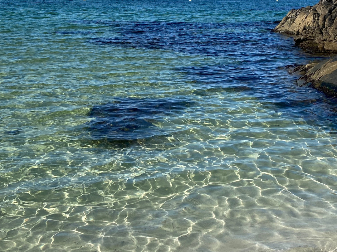 Viking Adventure-Haugesund必去景点