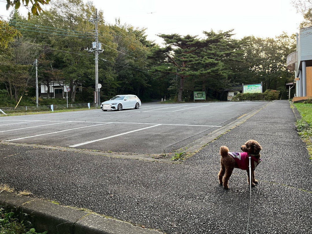 Otome Waterfall-那须盐原市必去景点
