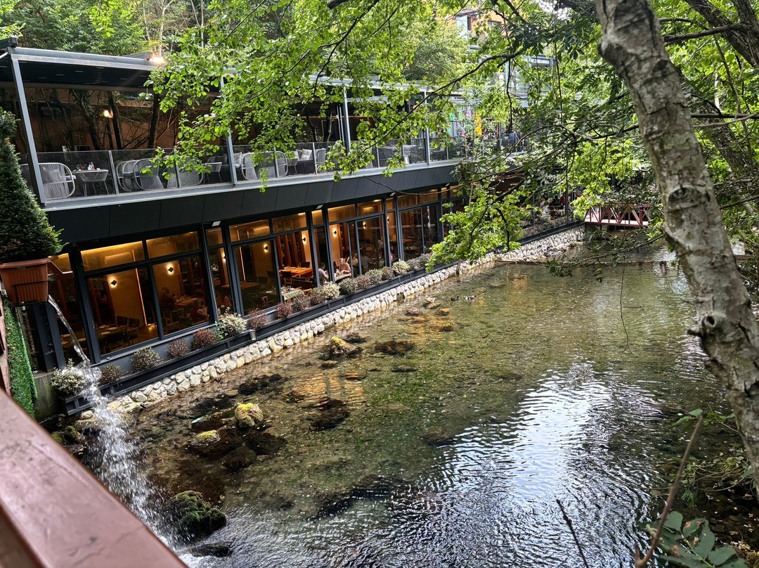 Resort Ujevara E Drinit
