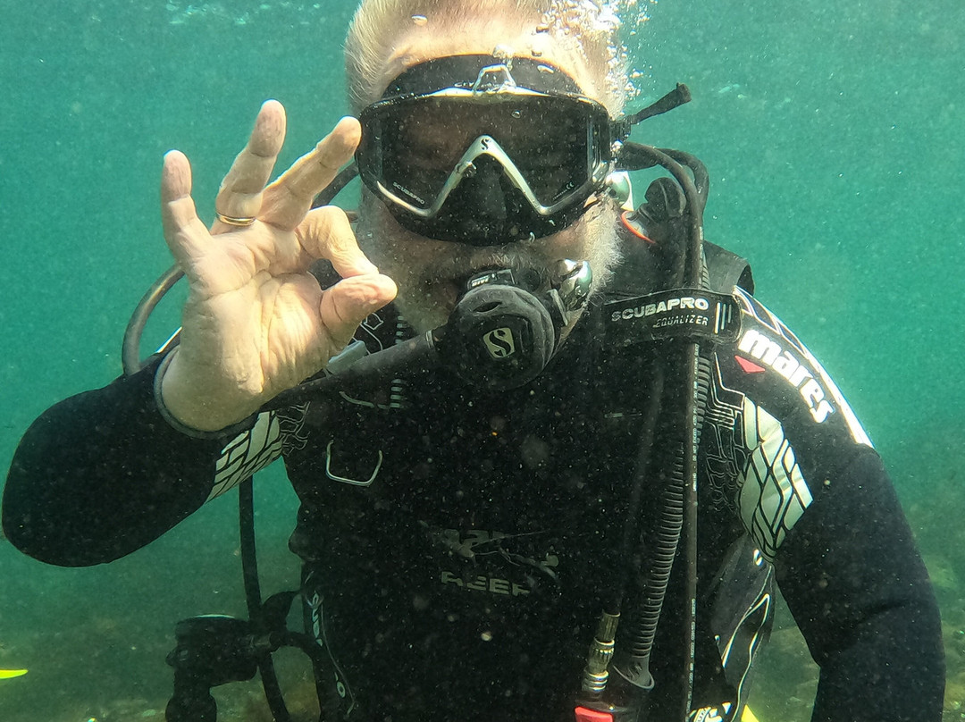 Sub Diving景点图片