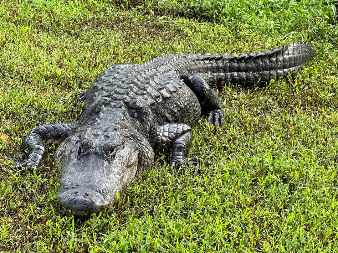 Mack's Fish Camp - Tours-海厄利亚必去景点
