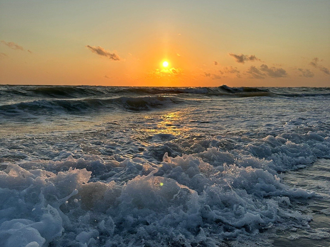 Olive Oil Outpost-Anna Maria必去景点