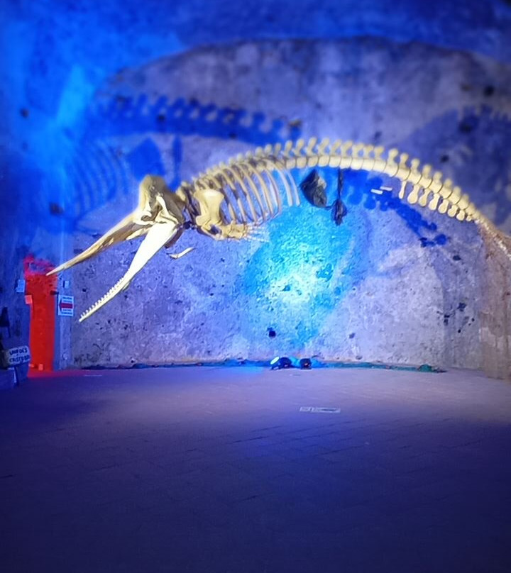 Muma Museo Del Mare Milazzo景点图片