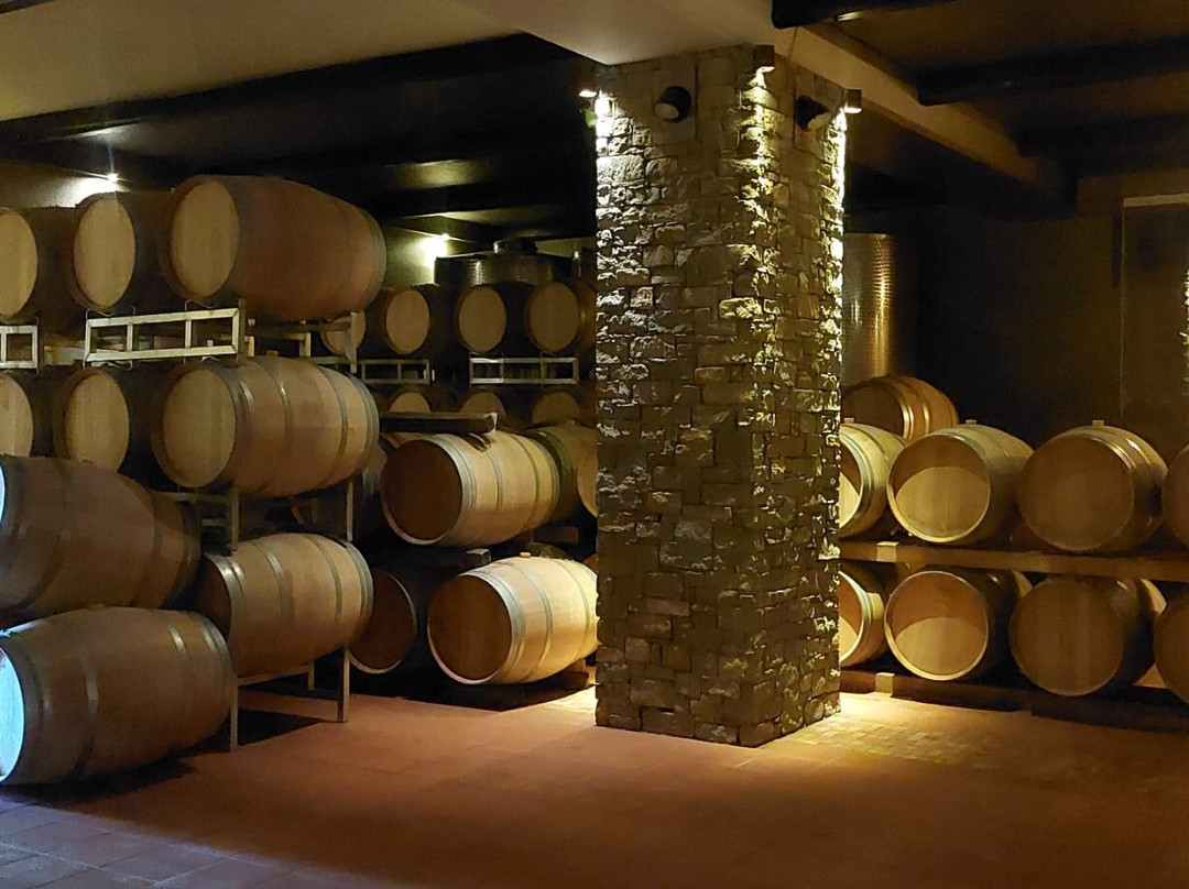 Azienda Agricola Conterno Fantino景点图片