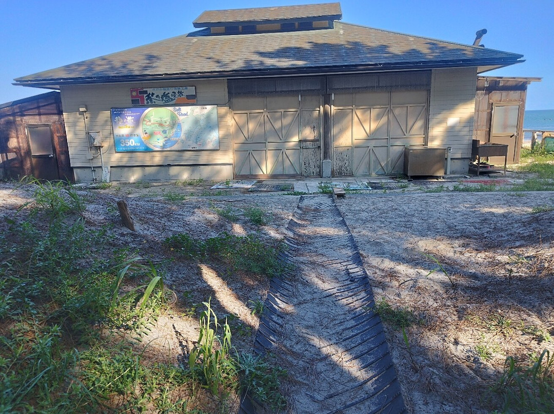 Sagara Beach-牧之原市必去景点