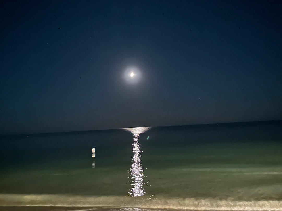 Lido Bacino Grande主图